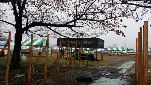 20151109_092319.jpg